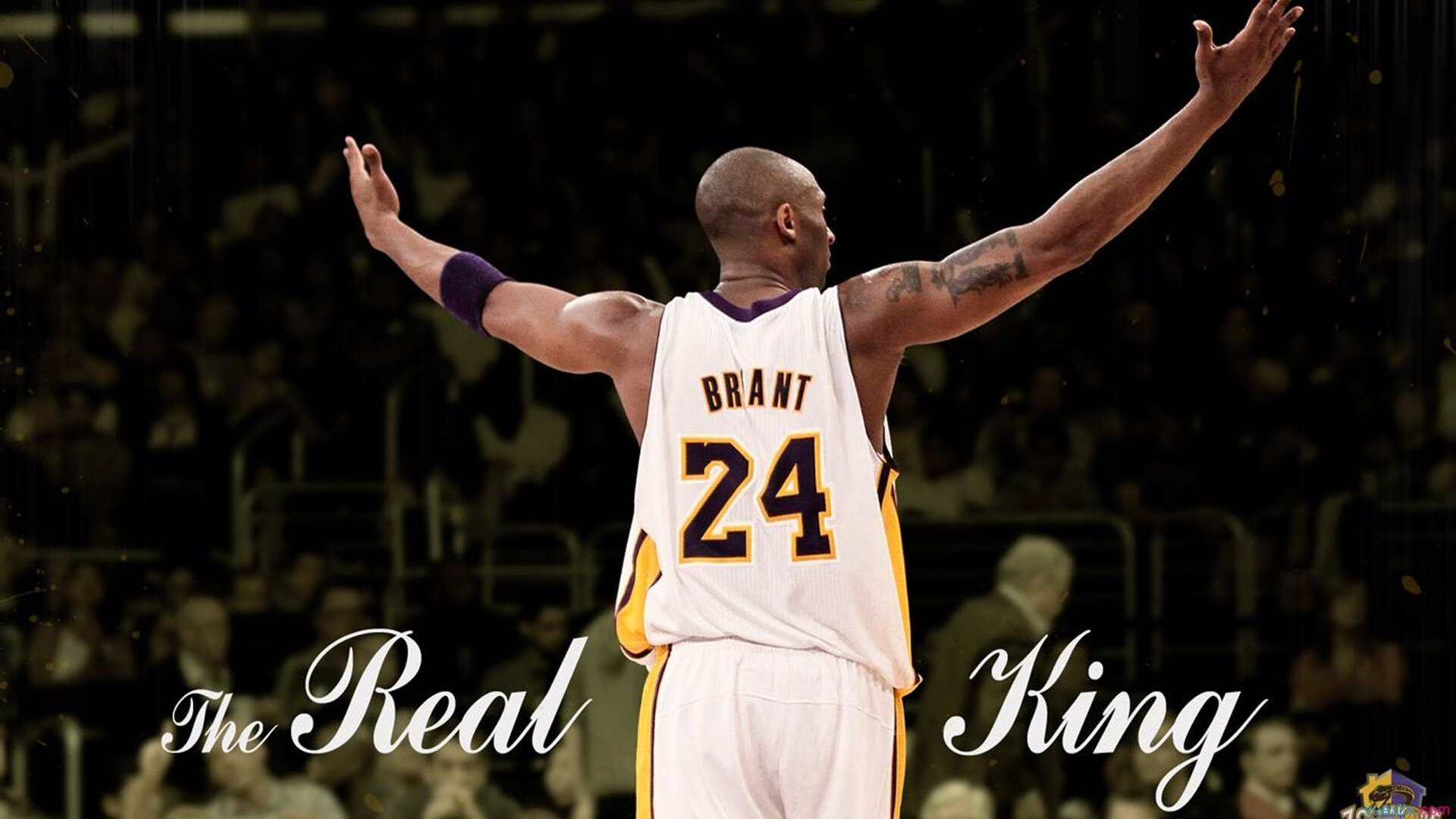 广厦铁闸锁死骑士，福克斯的防守密码与CBA的降维打击