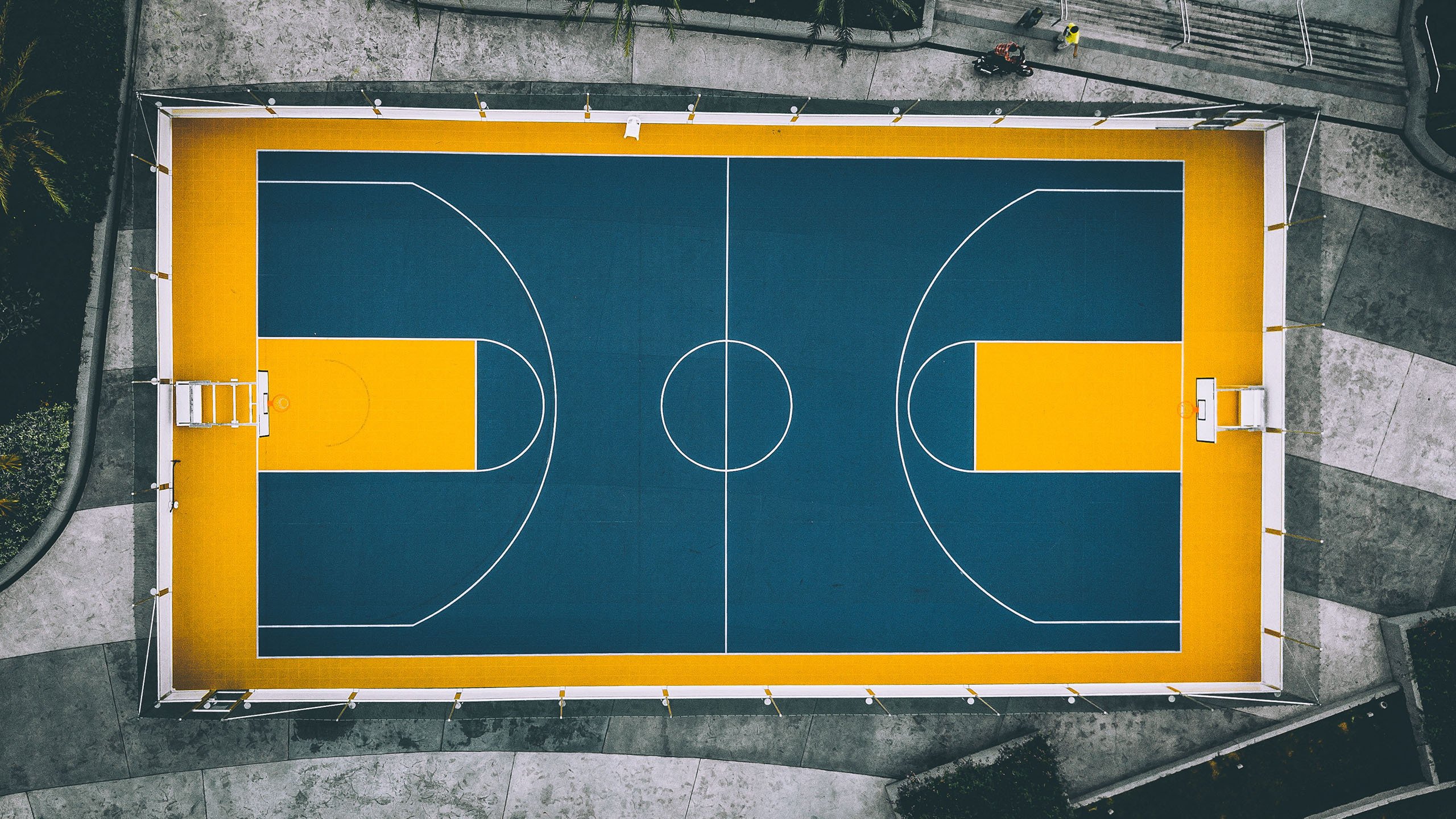 红黄之翼划破长空，巴雷拉致命一击，罗马尼亚力克比利时